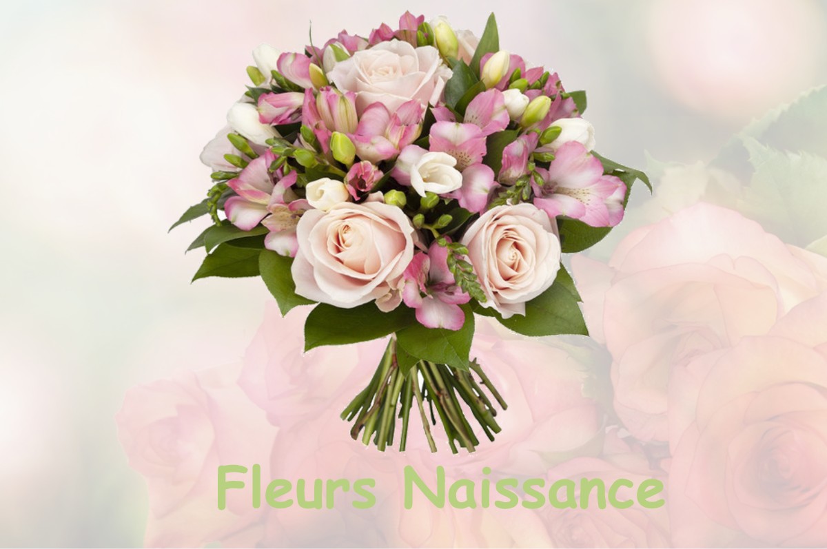 fleurs naissance LAHAYVILLE