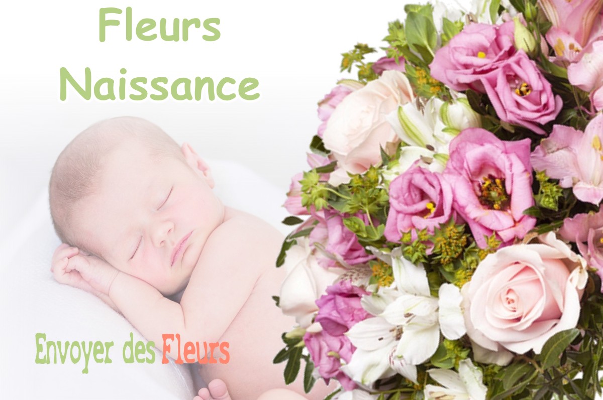 lIVRAISON FLEURS NAISSANCE à LAHAYVILLE